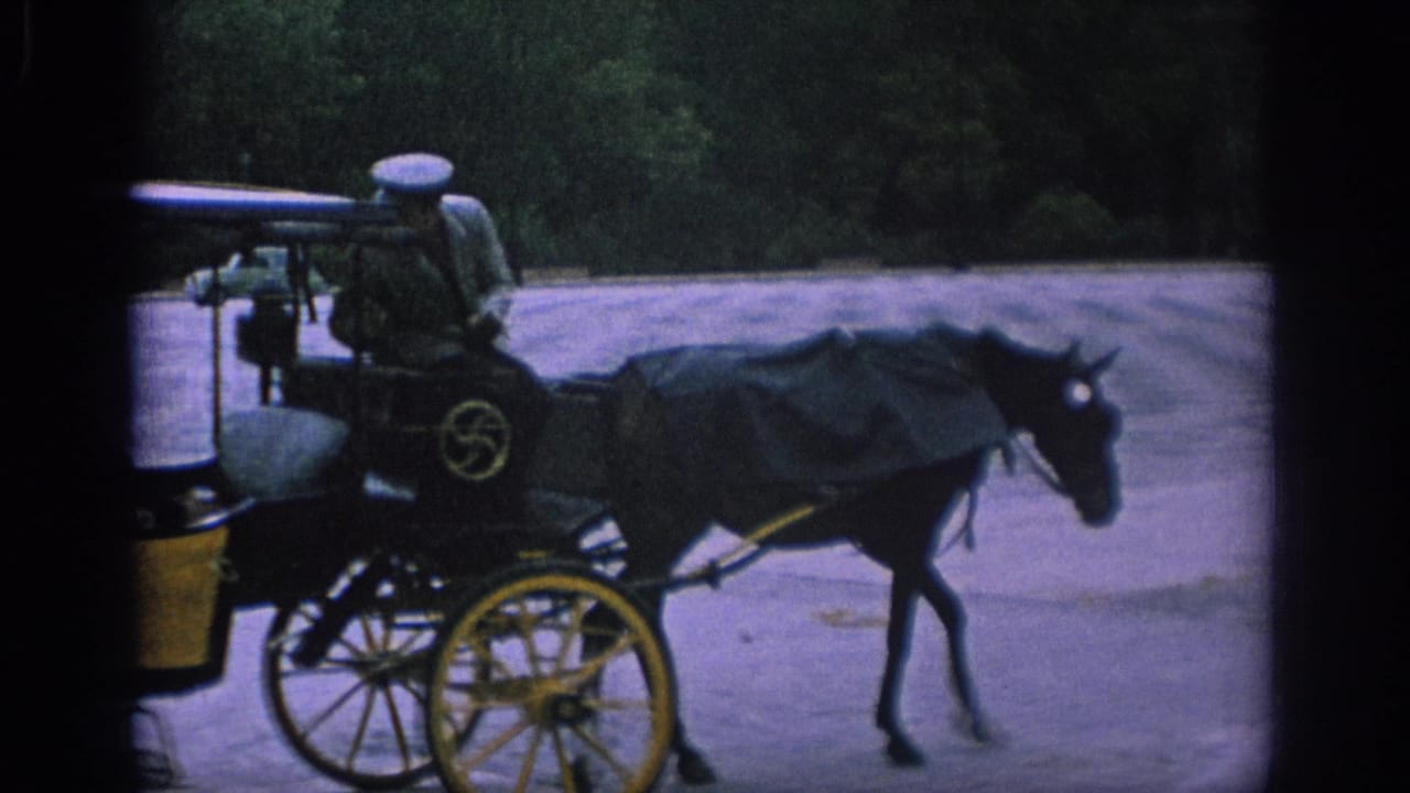 Horse-drawn carriage with yellow wheels moves past trees with a uniformed coachman.