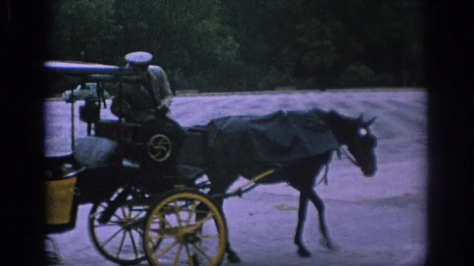 A horse-drawn carriage with yellow wheels and a uniformed coachman appears in 1966 Spain, with trees and pavement behind it.