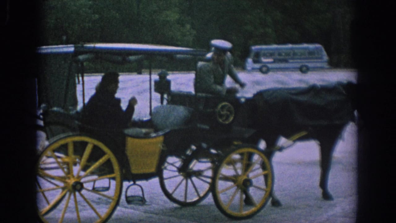 Horse-drawn carriage with yellow wheels, driver in white cap, seated passenger, and blue bus in background.
