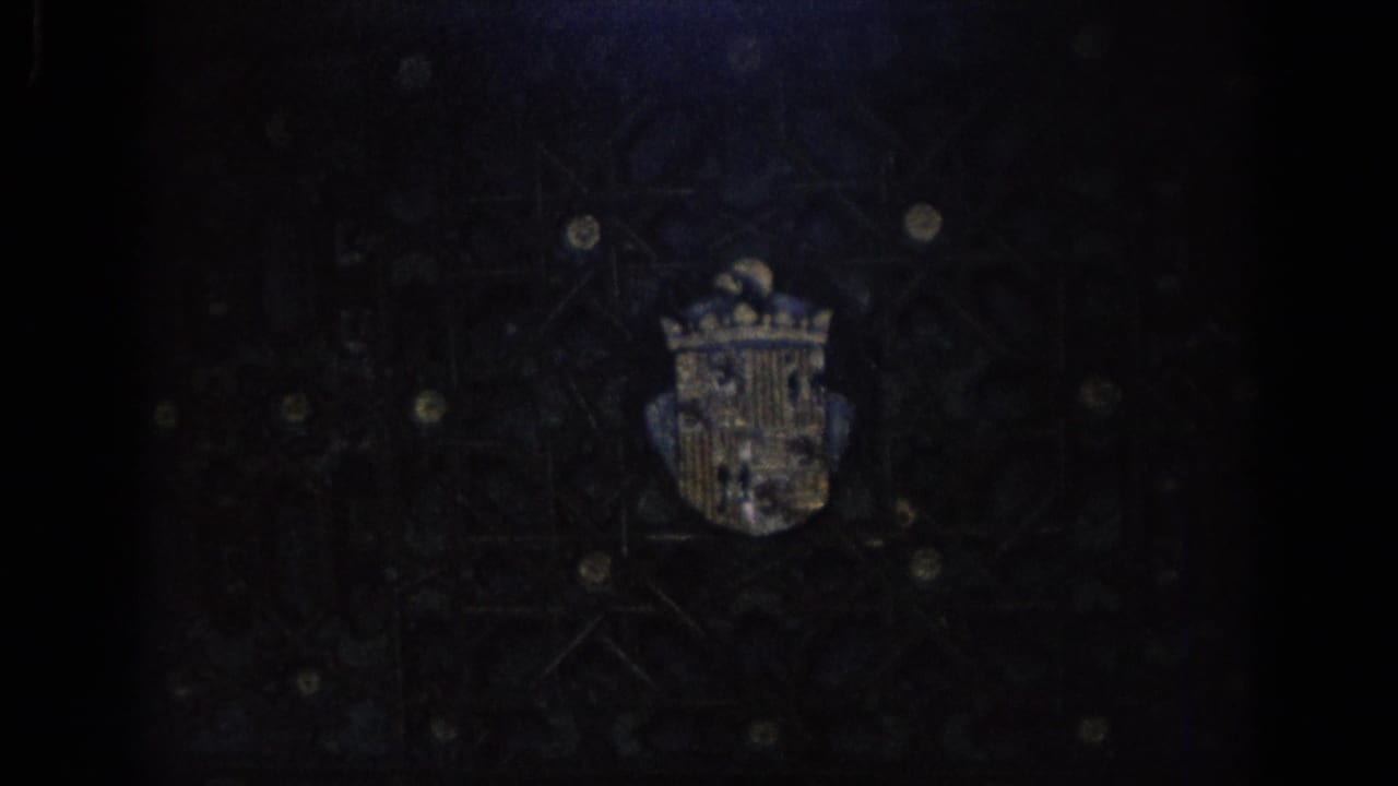 Crowned shield mounted on a dark textured wall in low light.