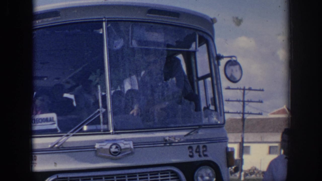 Damaged bus windshield with driver area visible through dark broken glass.