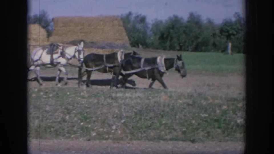 1966 Spain 8mm frame showing horses pulling a covered farm wagon past a haystack and tree line.