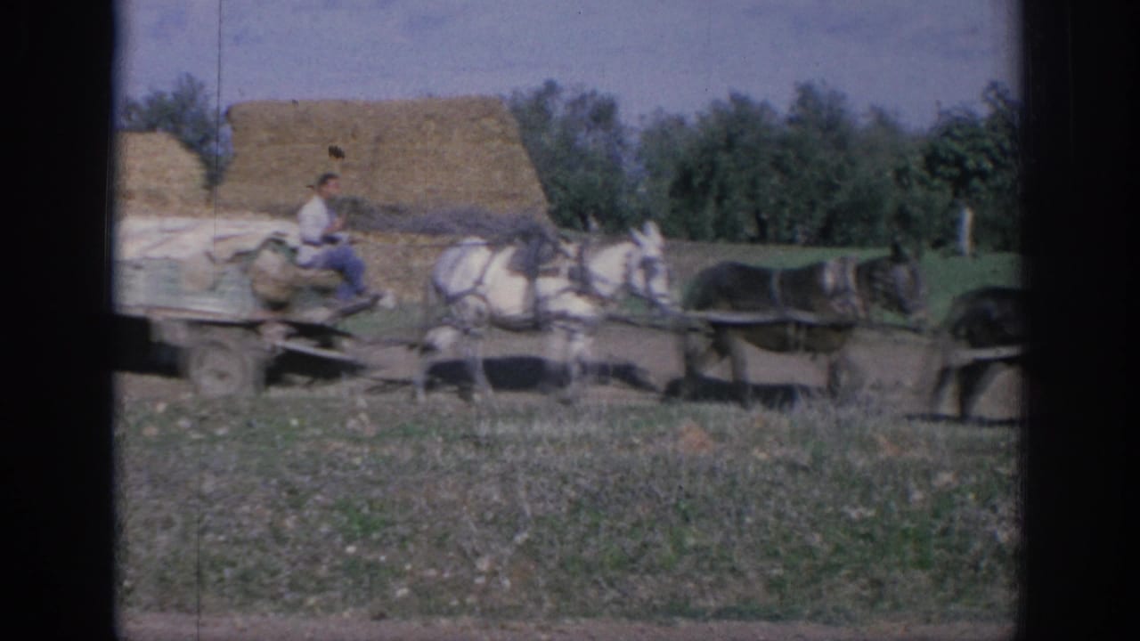 1966 Spain 8mm frame with a man driving a horse-drawn flat wagon through rural farmland.