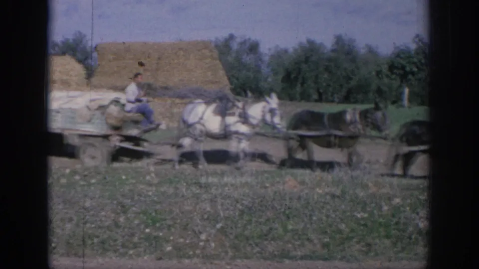 1966 Spain 8mm frame with a man driving a horse-drawn flat wagon through rural farmland.