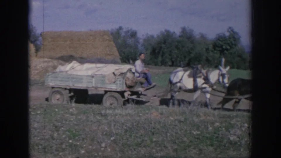 1966 Spain 8mm frame showing a driver on a farm wagon pulled by horses across open land.