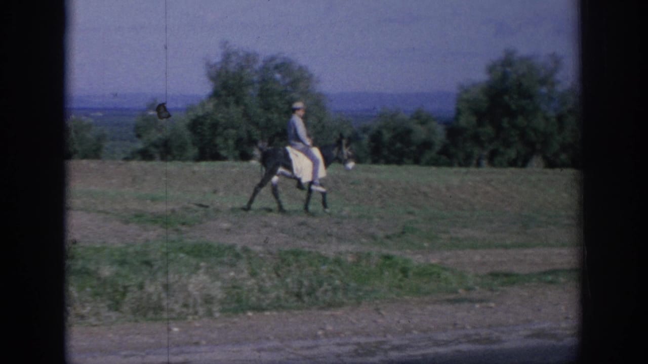 Man riding a donkey across an open rural field with trees and distant hills behind him.