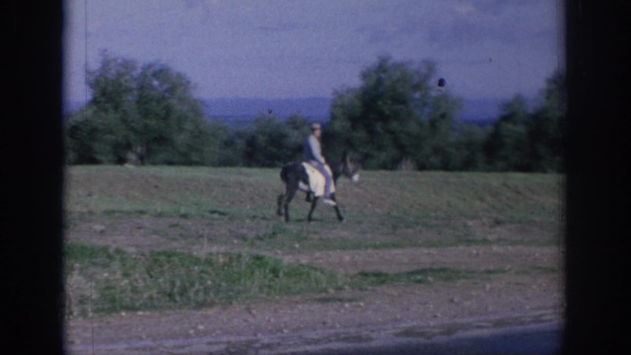 1966 Spain home-movie frame of a donkey rider crossing a rural field, with trees and hazy hills behind him.