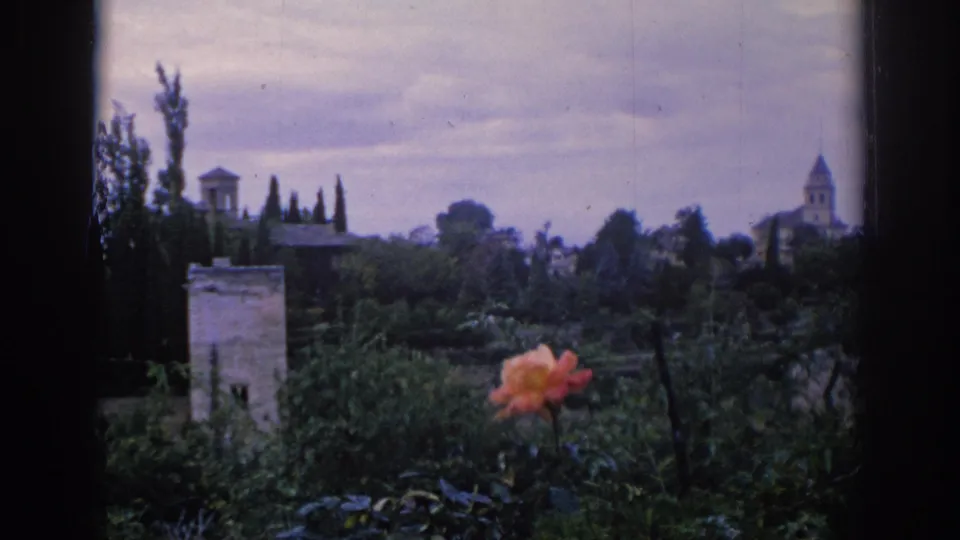 1966 Spain 8mm frame with a flower and stonework in the foreground, looking toward cypress trees and distant historic architecture.