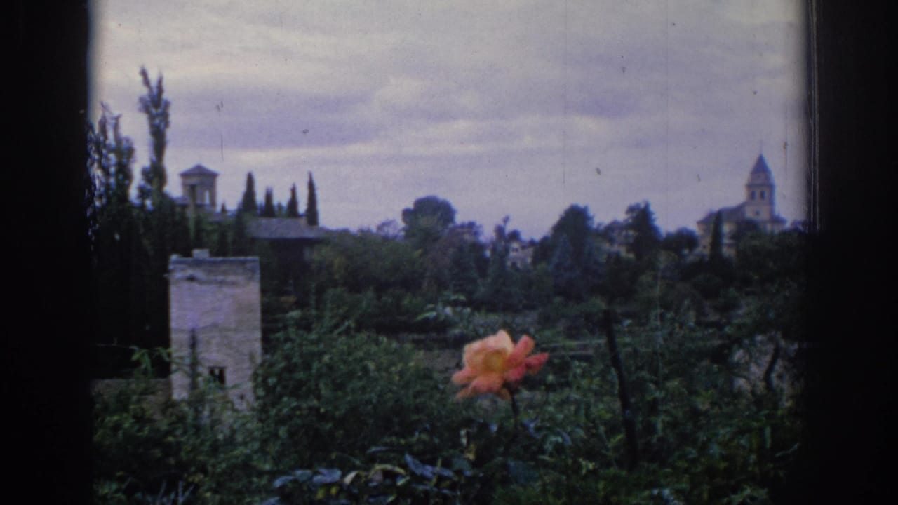 1966 Spain 8mm frame showing a garden through a window, with an orange carnation, greenery, a stone tower, and a distant church bell tower.