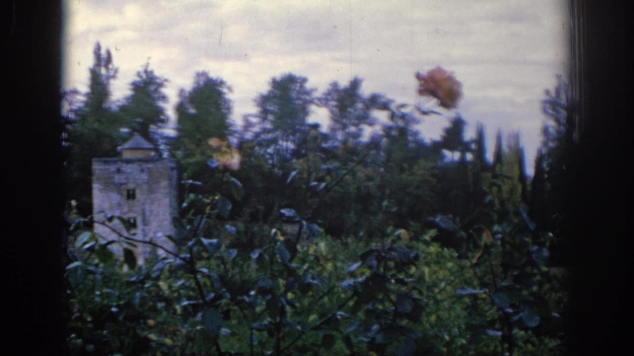 1966 Spain garden frame with a carnation near the upper right, dense foliage, a pale stone tower, and distant trees under cloud cover.