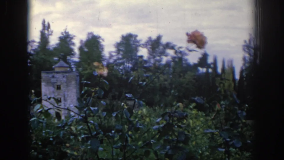 1966 Spain garden frame with a carnation near the upper right, dense foliage, a pale stone tower, and distant trees under cloud cover.