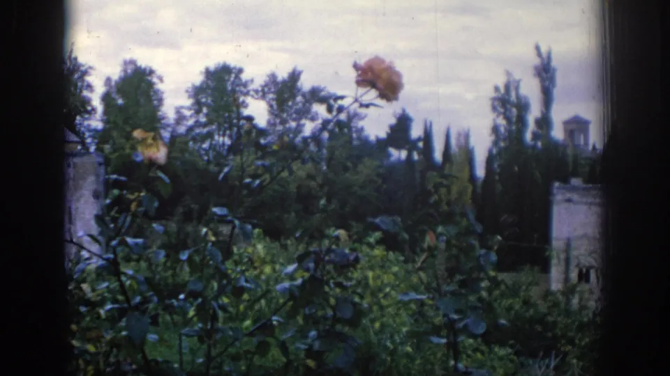 1966 Spain 8mm frame showing carnations and leafy garden growth through a window, with stone architecture and tall trees in the distance.