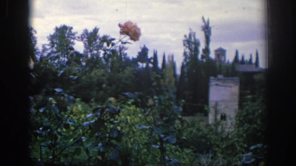 1966 Spain frame looking through a dark window opening at garden plants, an orange carnation, a stone tower, and a distant bell tower.