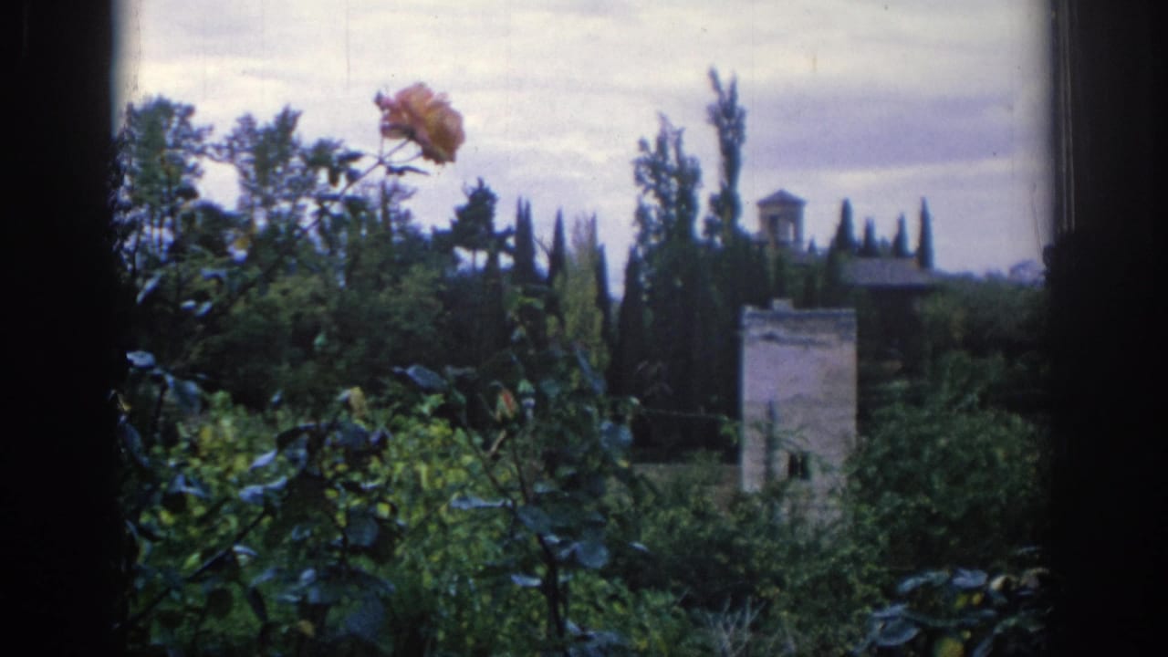 1966 Spain 8mm frame showing a pink rose before dense garden foliage, cypress trees, and a distant stone tower under cloudy sky.