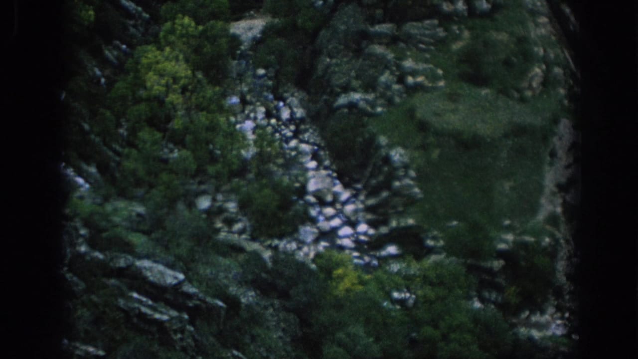 Rocky green ravine with a pale stream bed and trees below.