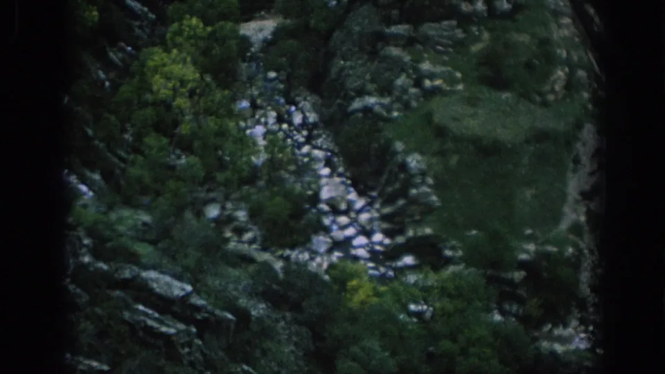 1966 Spain 8mm frame looking down into a rocky ravine with dense greenery, trees, and a light-toned stream bed.