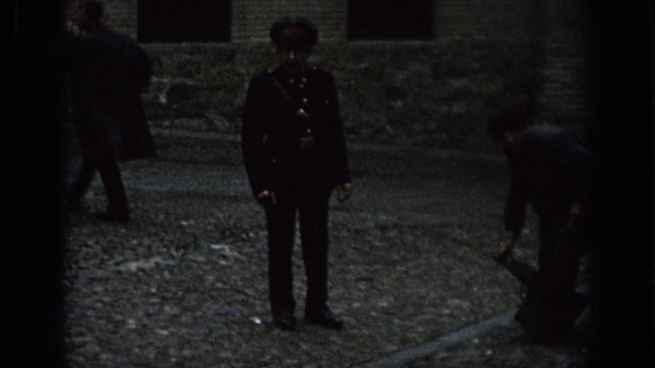 Uniformed guard stands on cobblestones while people move near luggage at the edge of the frame.