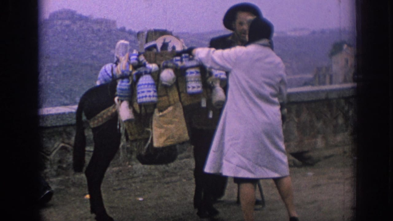 Traveler beside a loaded donkey on a mountain overlook.