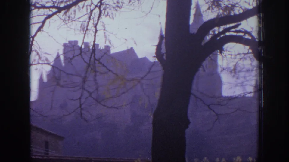 1966 Spain 8mm view of a castle-like historic building glimpsed through bare branches and a large tree trunk.