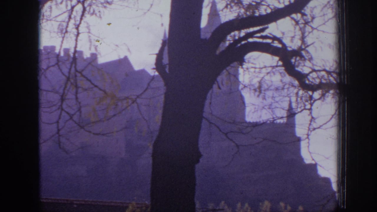 1966 Spain 8mm frame showing a distant castle silhouette through bare winter branches, with a dark tree trunk in the foreground.