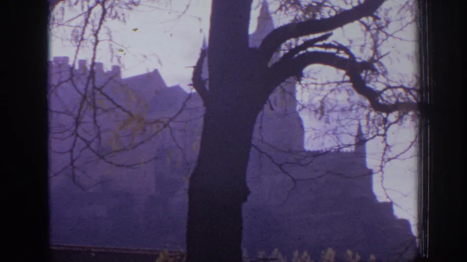 1966 Spain 8mm frame showing a distant castle silhouette through bare winter branches, with a dark tree trunk in the foreground.