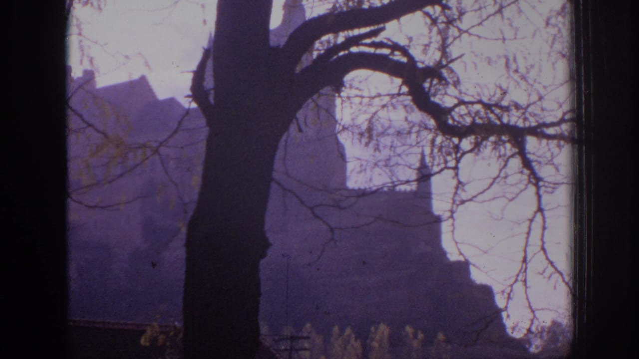 1966 Spain 8mm view of a castle tower and roofline framed by leafless branches and a dark foreground tree trunk.