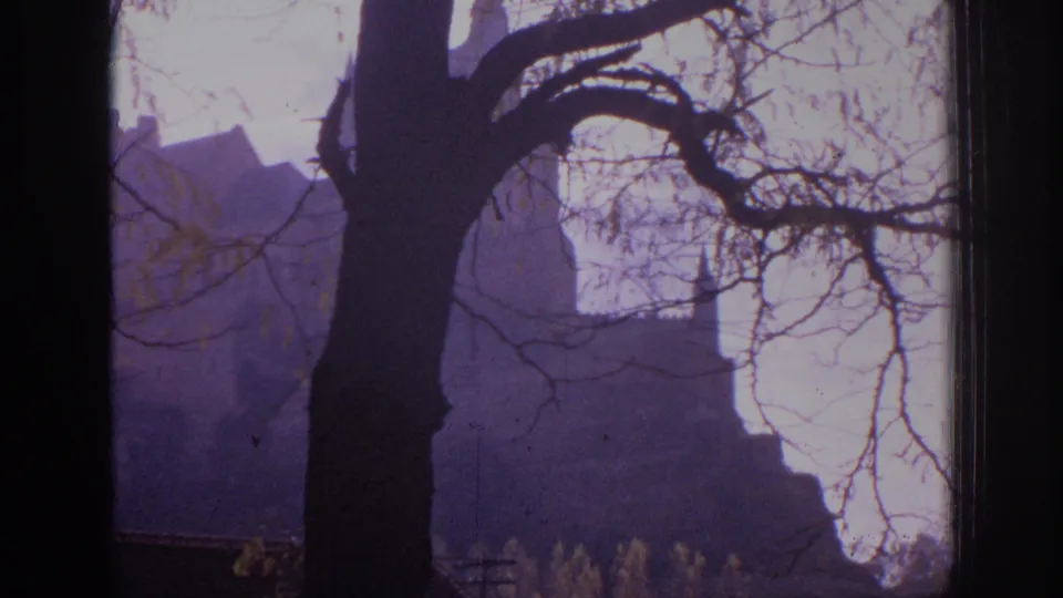 1966 Spain 8mm view of a castle tower and roofline framed by leafless branches and a dark foreground tree trunk.