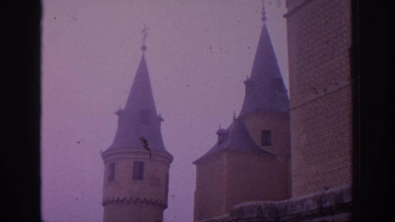 Two castle turrets with conical roofs beside a tall stone wall.