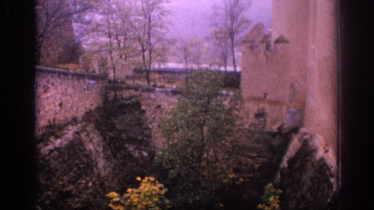 Historic stone wall and tower facade with trees and shrubs below.