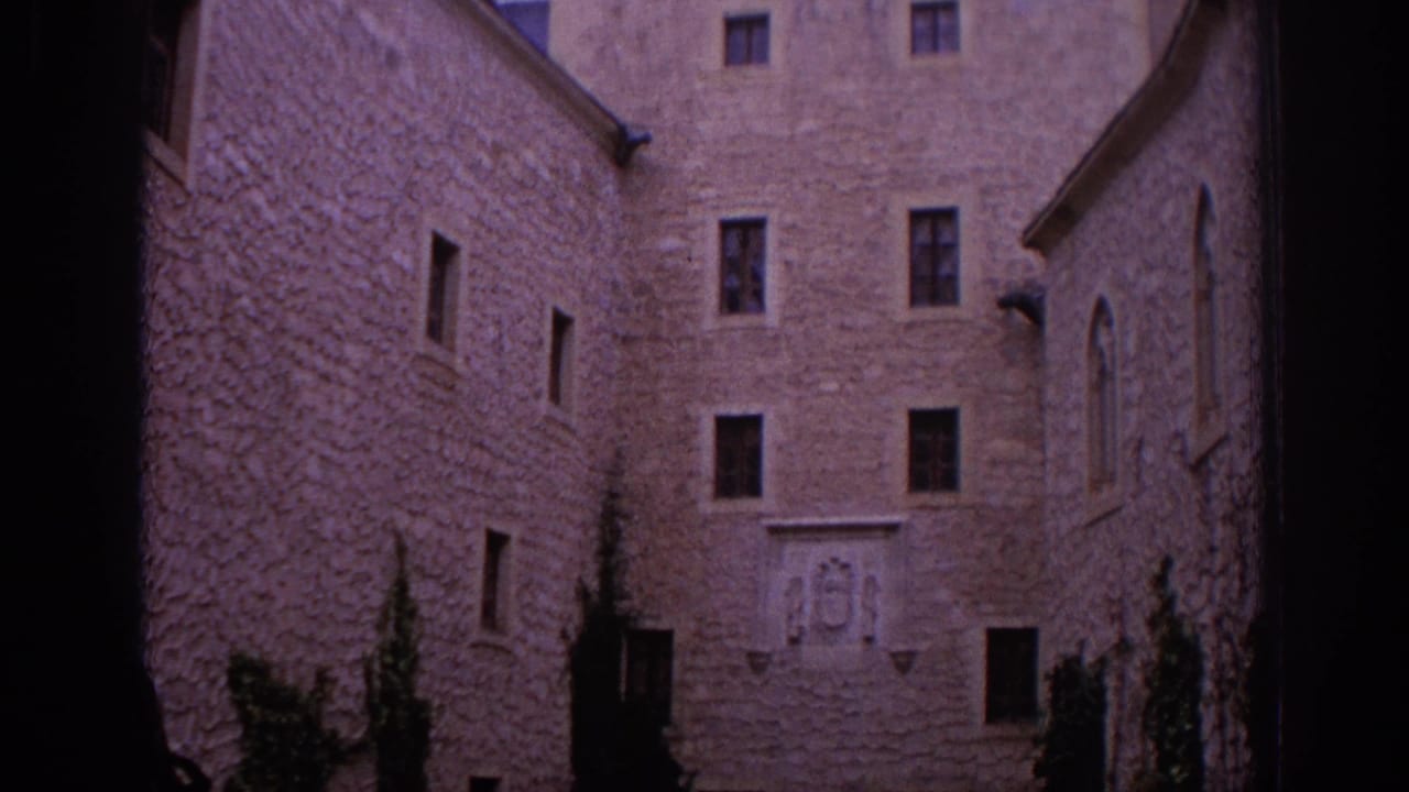 Stone courtyard with textured walls, small windows, and a central carved coat of arms.