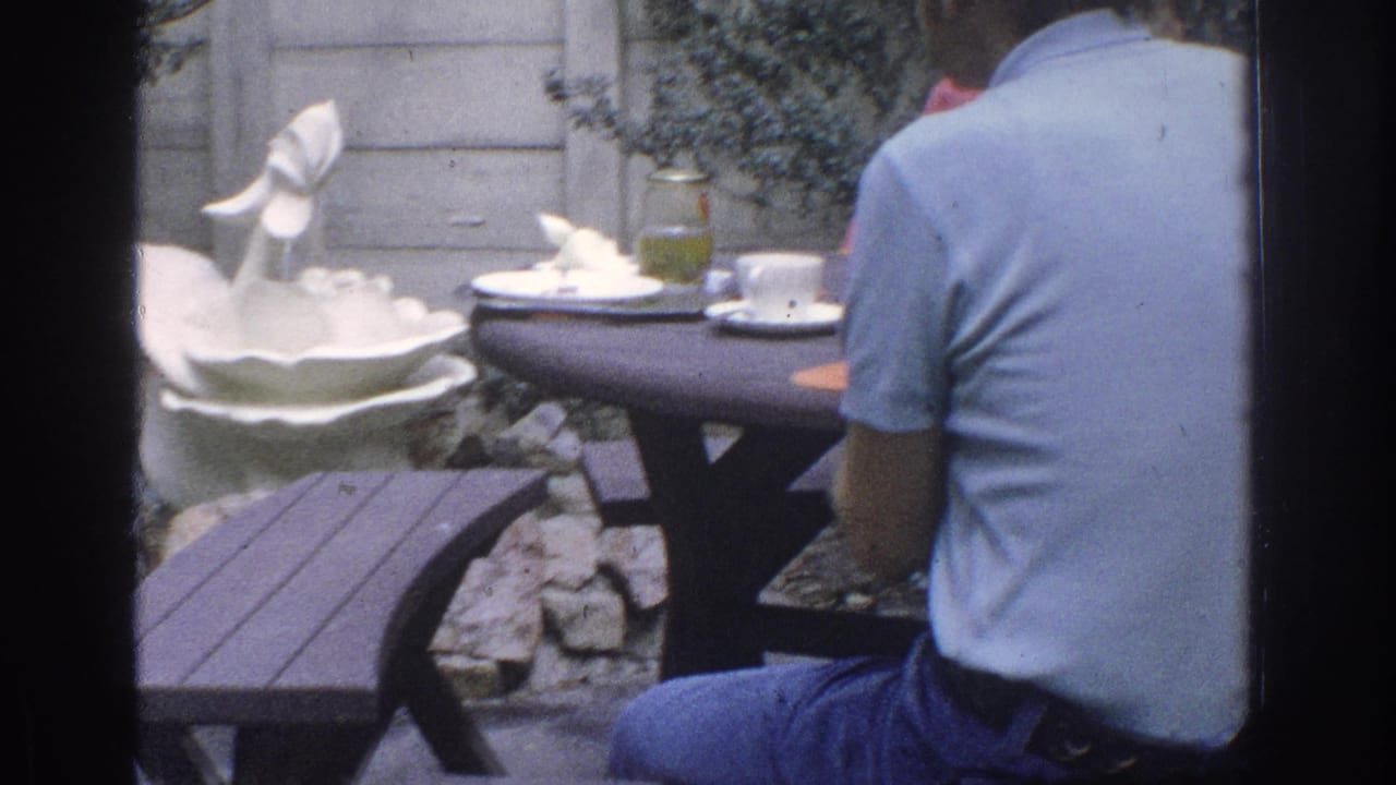 Man in a light blue shirt sits at an outdoor table near a white swan fountain and garden fence.
