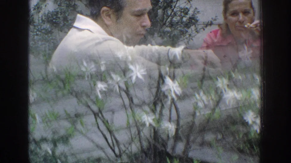 A softer 8mm frame shows the outdoor dining scene partly obscured by foreground plants, with the man and woman still seated at the table.