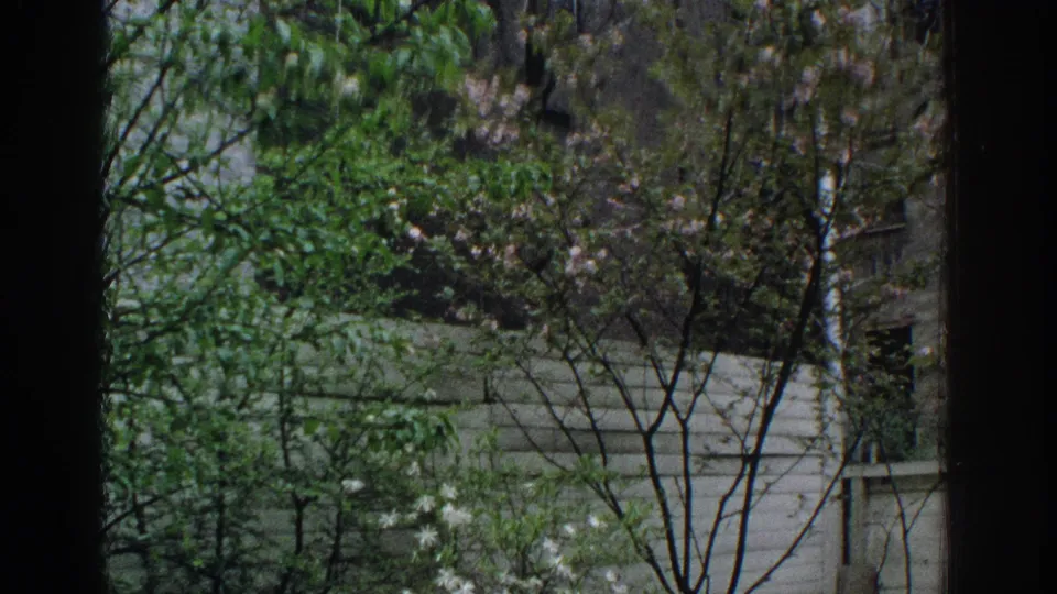1971 Miami 8mm frame looking through a window toward trees, green lawn, a walkway, and nearby residential building edges.