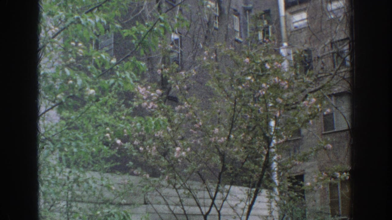 Dark window frame looking onto trees and residential building facades.