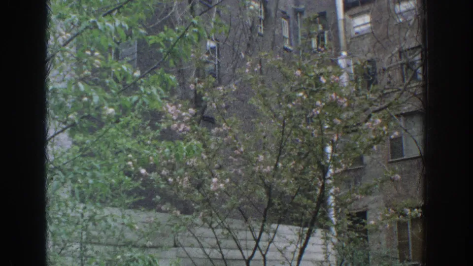 1971 Miami home-movie frame looking through a dark window frame toward leafy trees and older residential buildings.