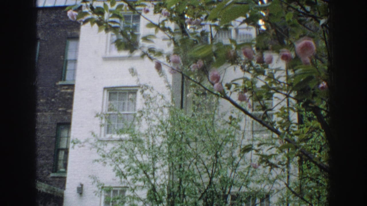 White brick building seen through leafy branches and pink blossoms, with dark vertical foreground edges.