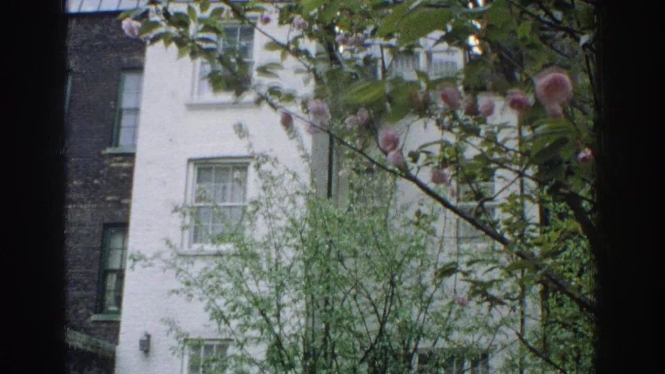 1971 Miami 8mm frame showing a white brick building through green foliage and pink blossoms, with windows and dark foreground framing.