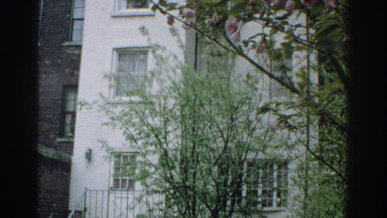 White building facade and windows partly obscured by branches and a dark central foreground strip.
