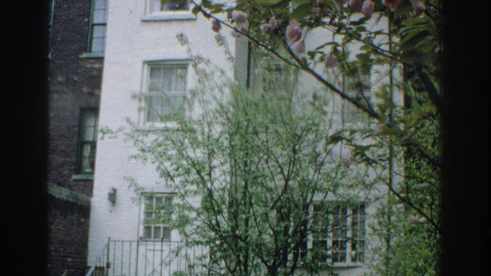1971 Miami exterior view of a pale brick building with windows, trees, and blossoms partially blocked by a dark foreground divider.