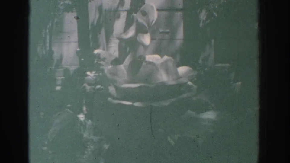 Late frame from a 1971 Miami 8mm home movie showing a large outdoor decorative piece in a shaded garden, with a woman partly visible.