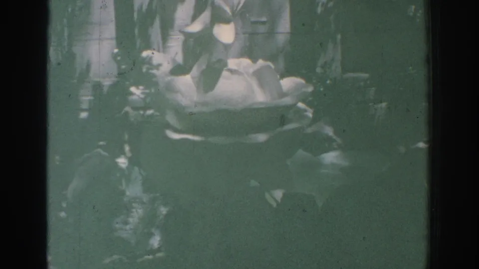 1971 Miami home-movie still with a pale blossom in foliage, green color cast, visible film wear, and dark frame borders.