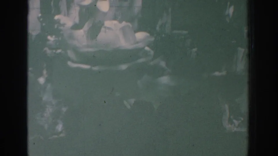 Final 1971 Miami frame with a pale flower and surrounding foliage softened by green color shift, scratches, dust, and film grain.