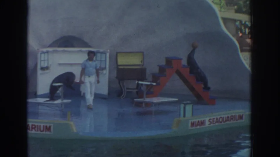 1971 Miami Seaquarium home-movie frame showing a trainer beside two sea lions on a staged platform with props and water in front.