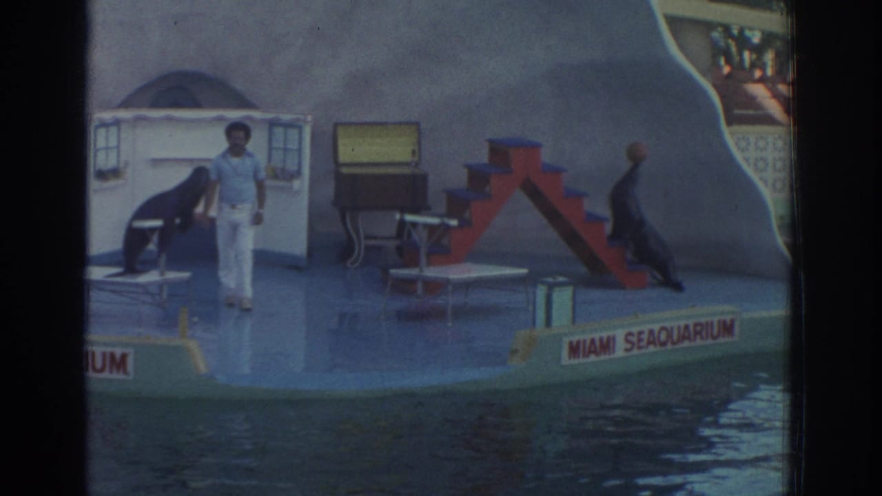 1971 Miami Seaquarium frame with a trainer facing the audience while sea lions sit near painted show props on the platform.