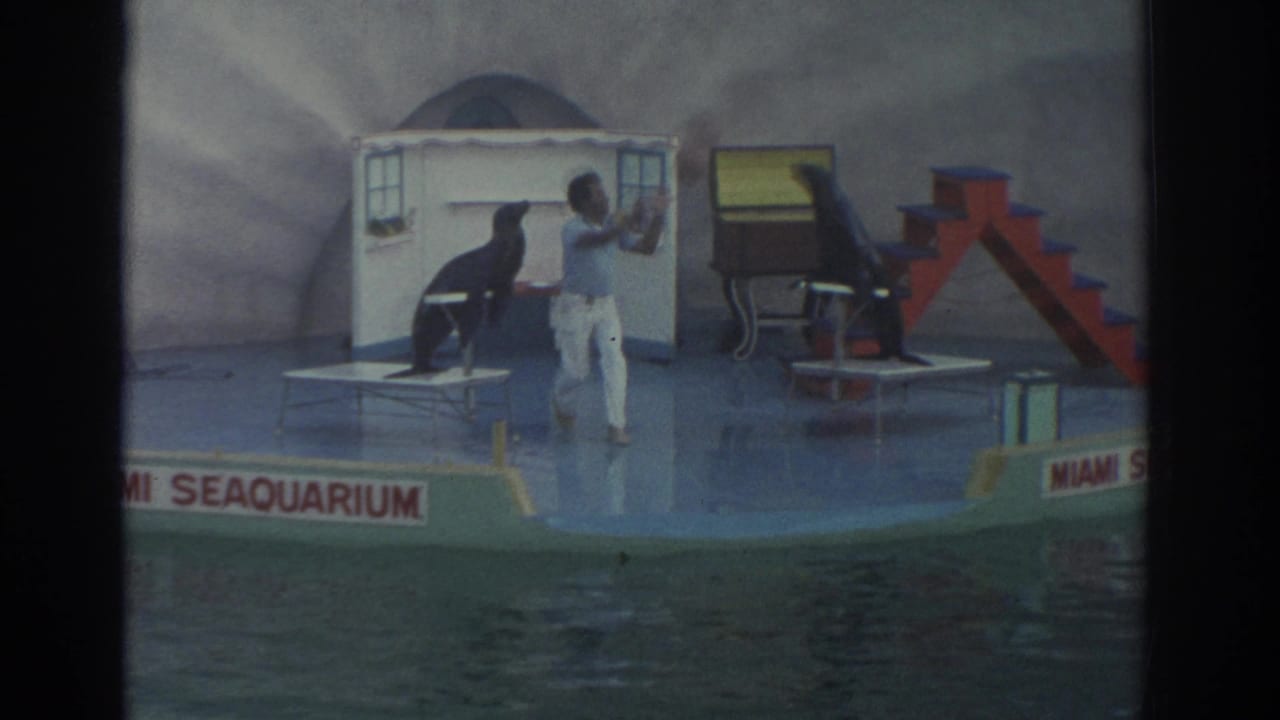 Trainer gestures near two sea lions, with one close to red stairs on the stage.