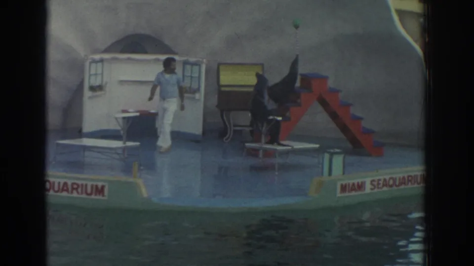 1971 Miami Seaquarium 8mm frame with a trainer crossing the stage while a sea lion performs near red stairs and a piano prop.