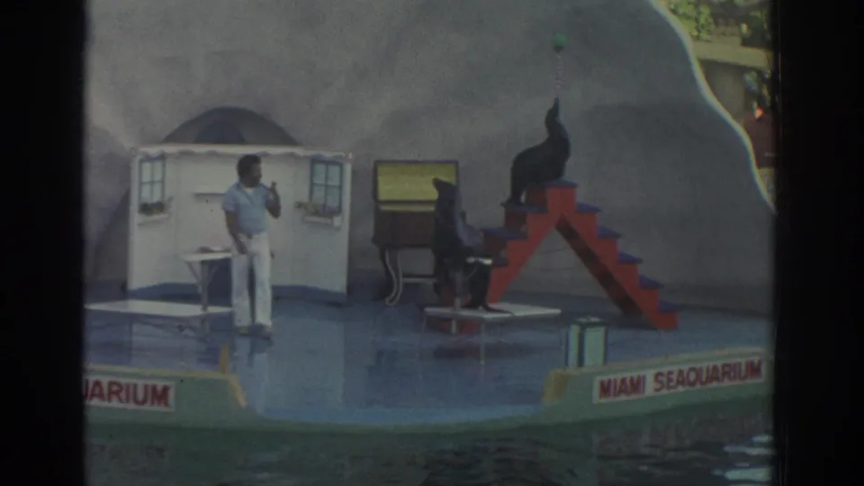 1971 Miami Seaquarium frame showing a sea lion balancing a green ball on red stairs while the trainer stands nearby.