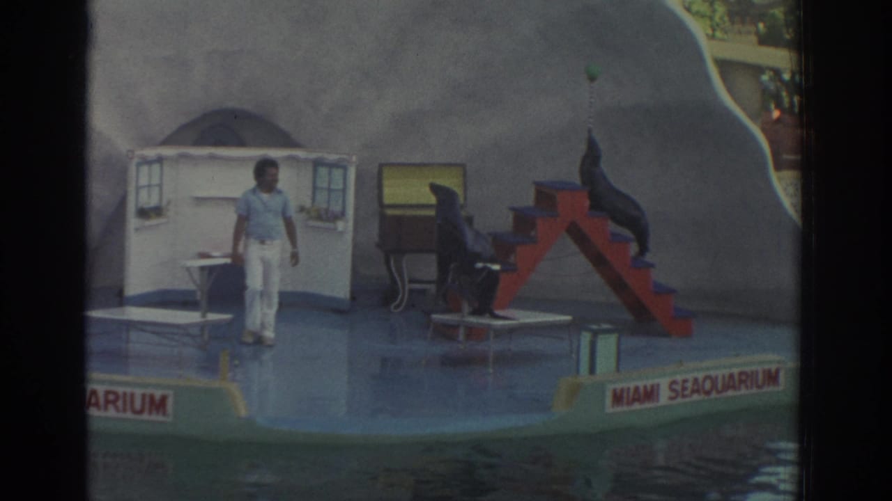 Trainer stands center stage while one sea lion raises its head near a green ball and another sits by the stairs.