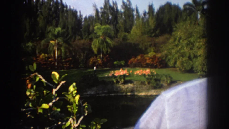 1971 Miami frame with flamingos on a tropical garden lawn, a small distant person in white, and a partial onlooker in the foreground.