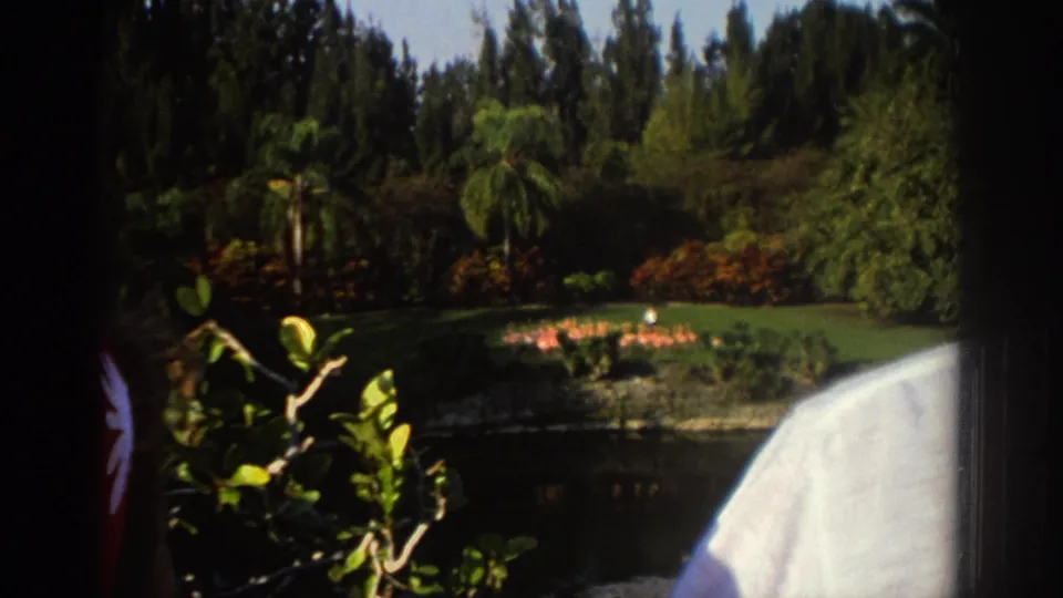 1971 Miami 8mm frame showing a landscaped pond, flamingos, palms, thick foliage, and a nearby visitor partially entering the foreground.
